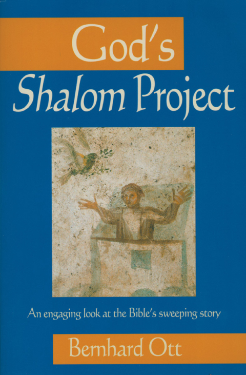 Cover image for book God's Shalom Project