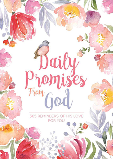 Cover image for book Daily Promises from God