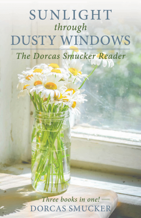 Cover image for book Sunlight Through Dusty Windows