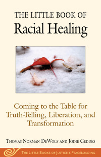 Titelbild: The Little Book of Racial Healing 9781680993622