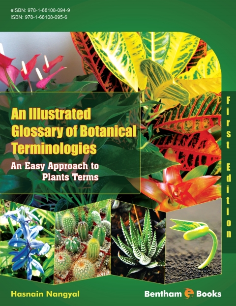 Cover image for book An Illustrated Glossary of Botanical Terminologies