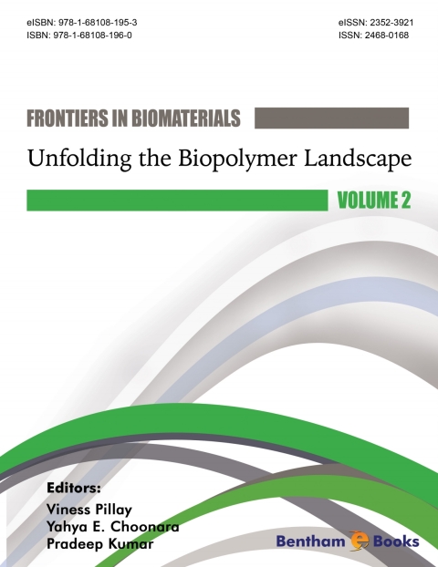 Cover image for book Unfolding the Biopolymer Landscape
