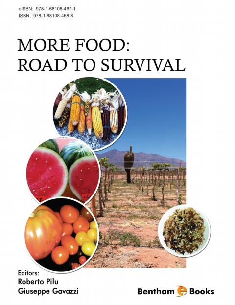 Cover image for book More Food: Road to Survival