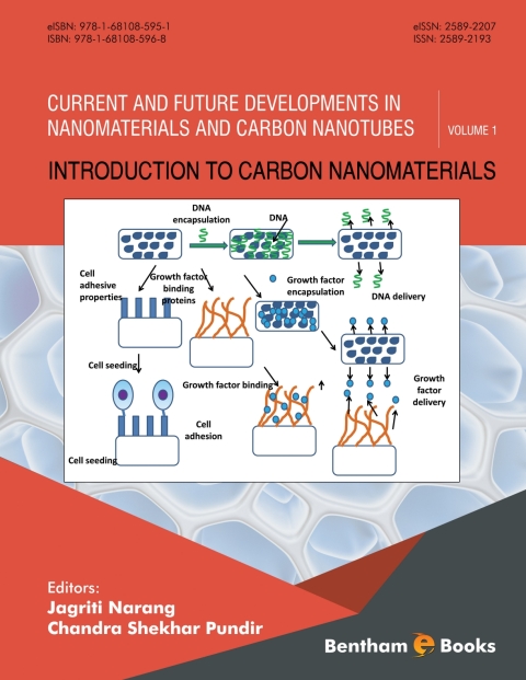 Cover image for book Introduction to Carbon Nanomaterials
