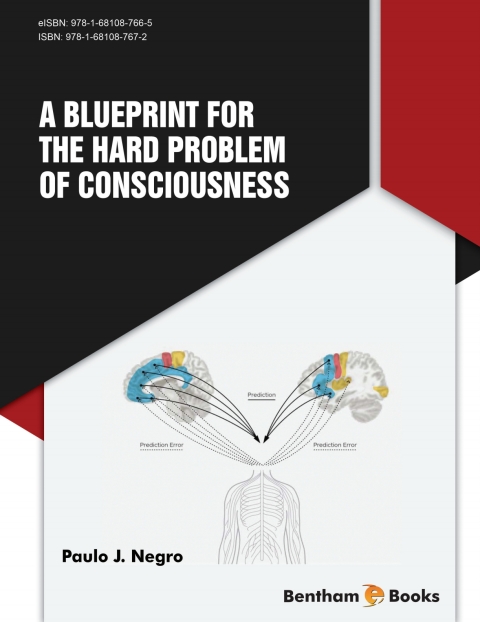 Cover image for book A Blueprint for the Hard Problem of Consciousness