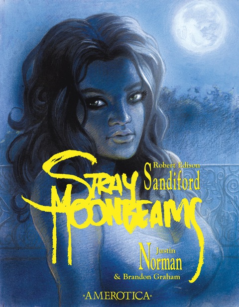 Cover image for book Stray Moonbeams