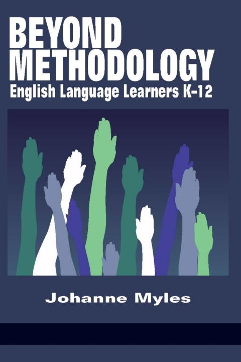 Cover image for book Beyond Methodology