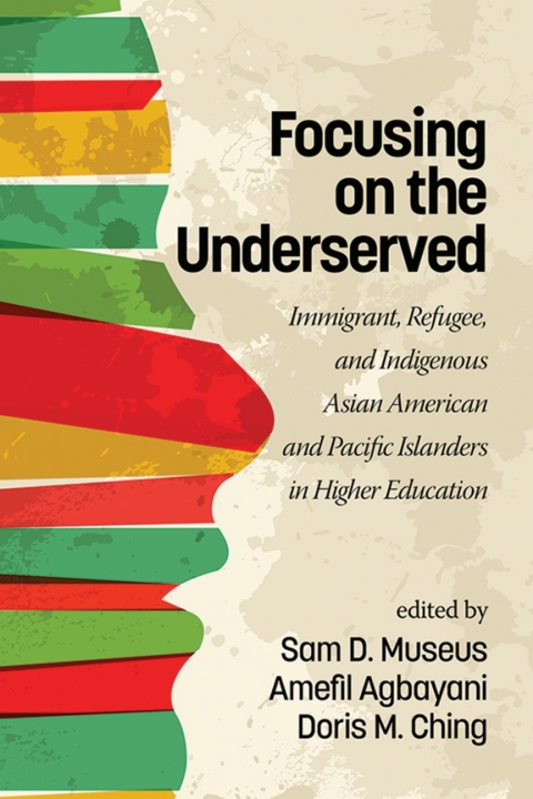 Cover image for book Focusing on the Underserved