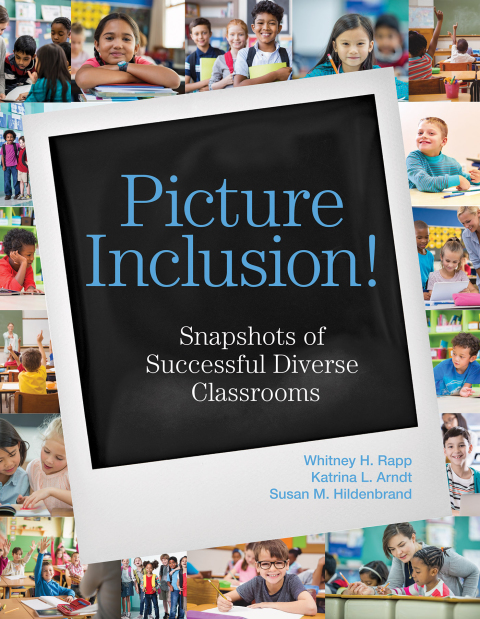 Cover image for book Picture Inclusion!