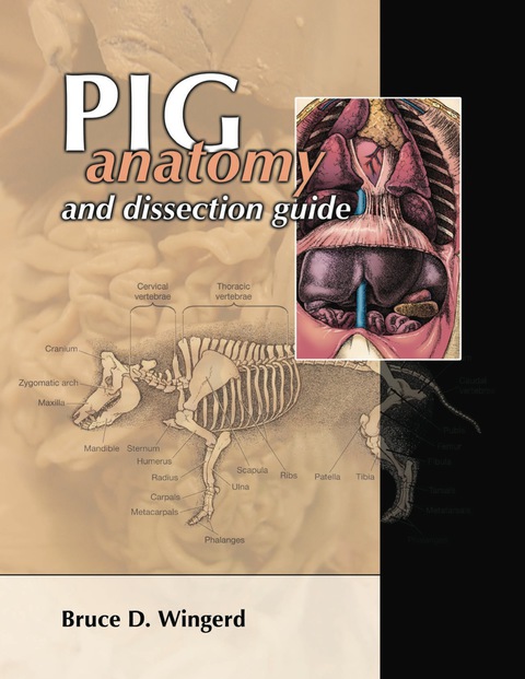 Cover image for book Pig Anatomy & Dissection Guide