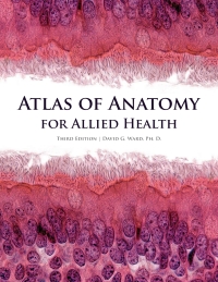 Cover image: Atlas of Anatomy for Allied Health 3rd edition 9781599847184