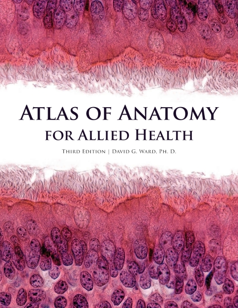 Cover image for book Atlas of Anatomy for Allied Health