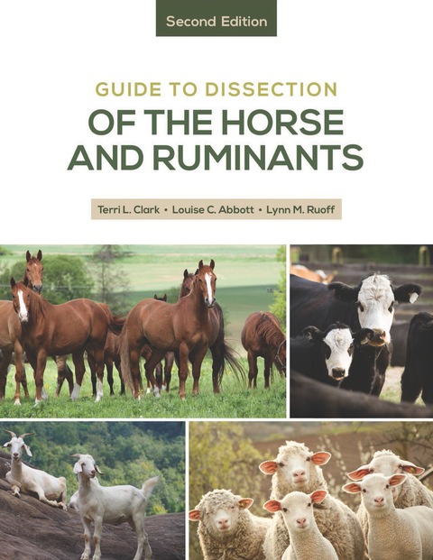 Cover image for book Guide to the Dissection of the Horse and Ruminants