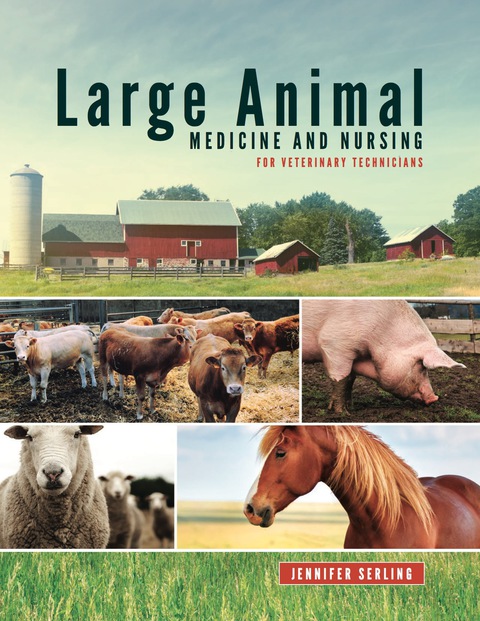 Cover image for book Large Animal Medicine and Nursing for Veterinary Technicians