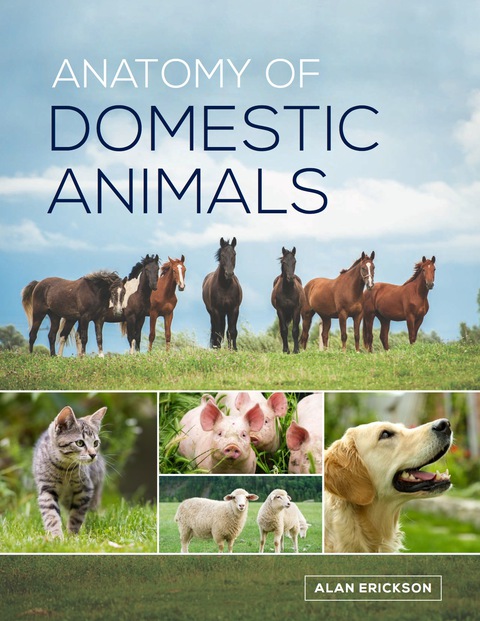Cover image for book Anatomy of Domestic Animals