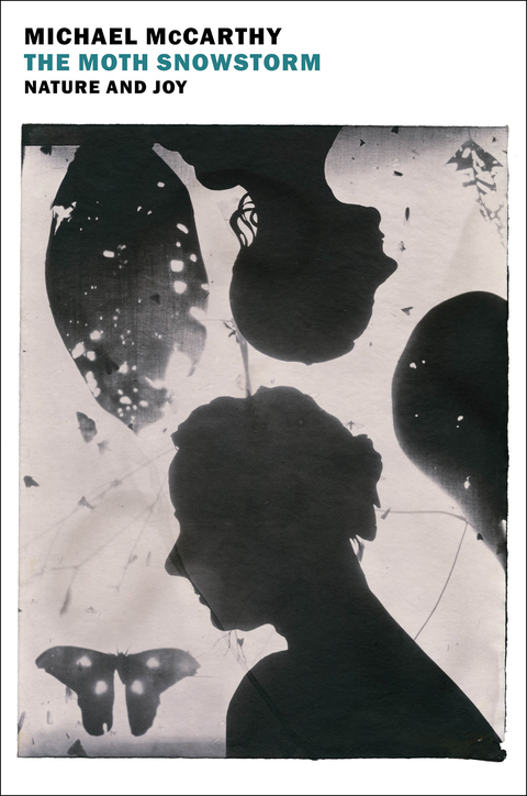 Cover image for book The Moth Snowstorm