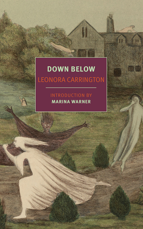 Cover image for book Down Below