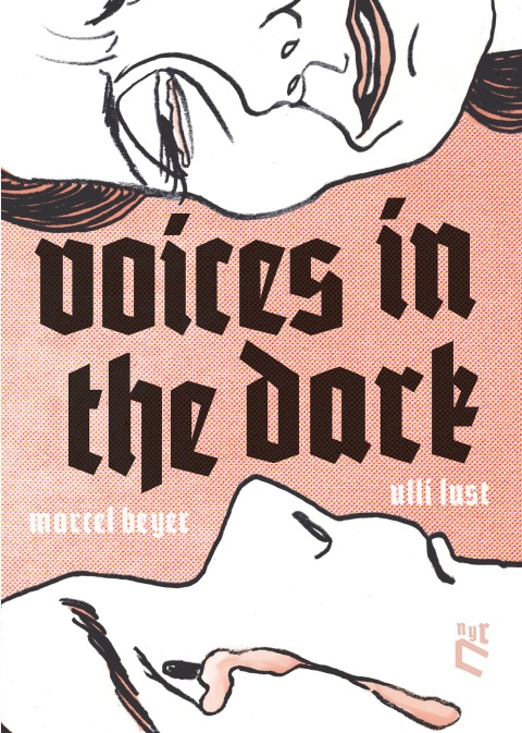 Cover image for book Voices in the Dark