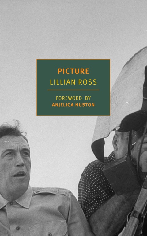 Cover image for book Picture