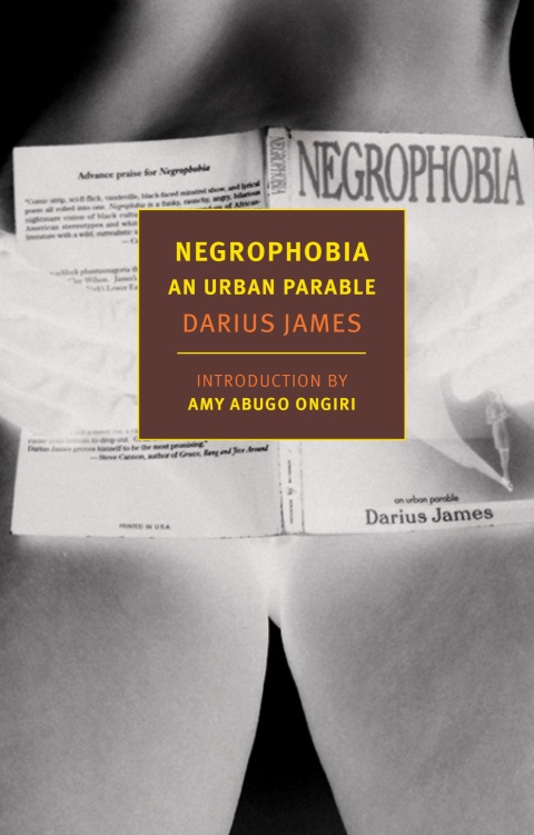 Cover image for book Negrophobia