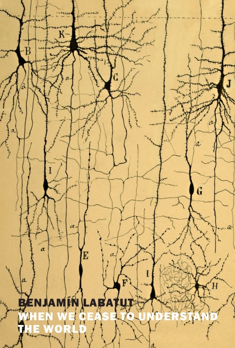 Cover image for book When We Cease to Understand the World
