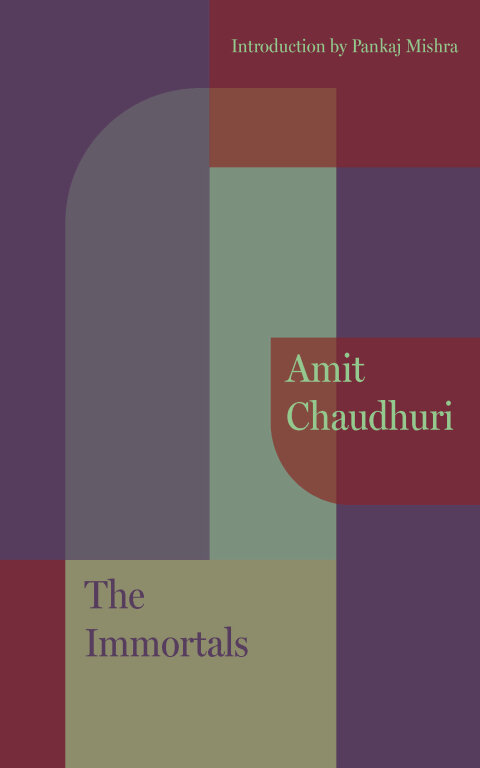Cover image for book The Immortals