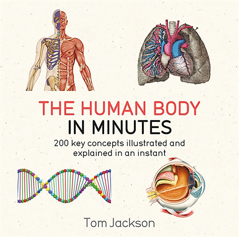 Cover image for book The Human Body in Minutes