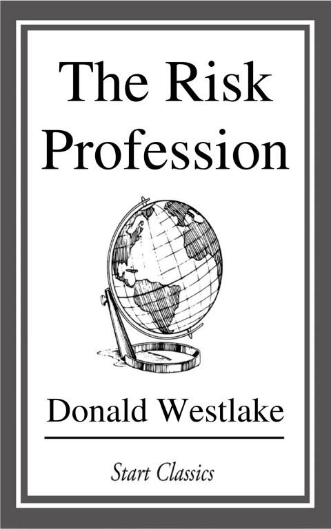 Cover image for book The Risk Profession