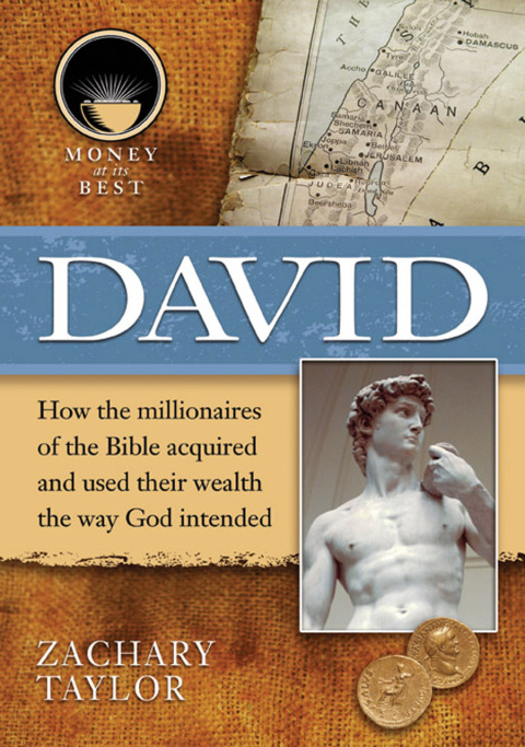 Cover image for book David