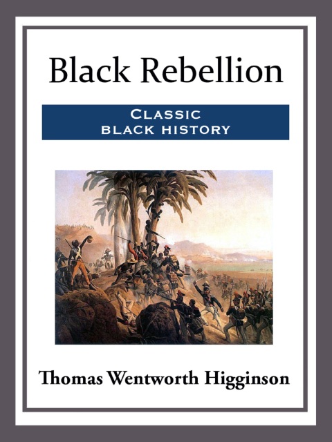 Cover image for book Black Rebellion
