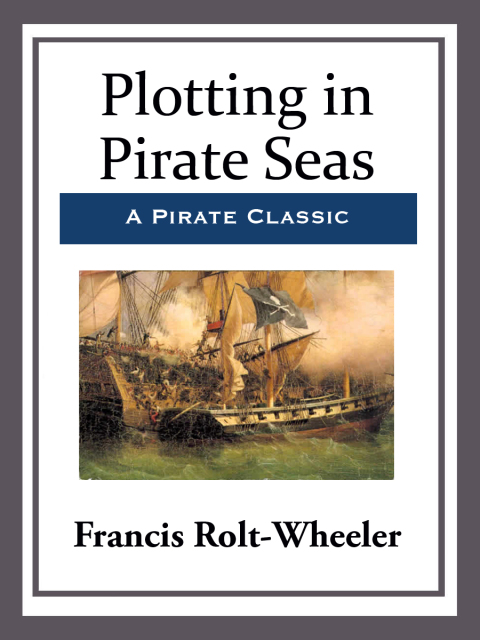 Cover image for book Plotting in Pirate Seas