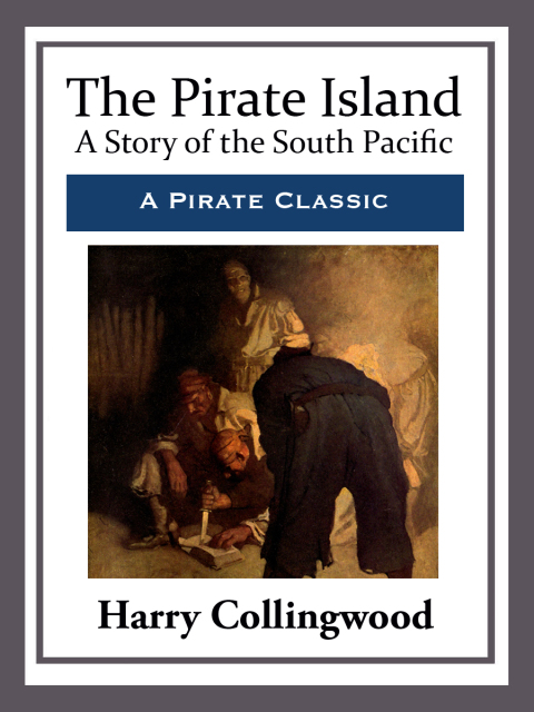 Cover image for book The Pirate Island