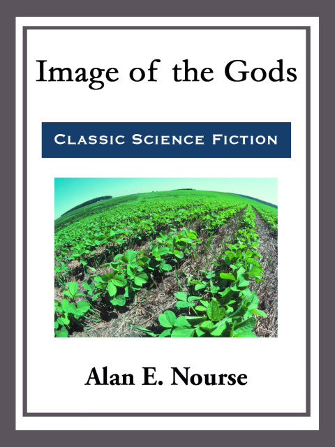 Cover image for book Image of the Gods