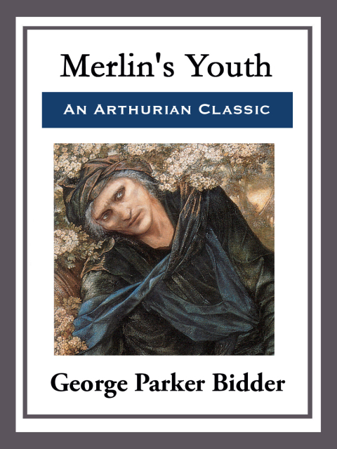 Cover image for book Merlin's Youth