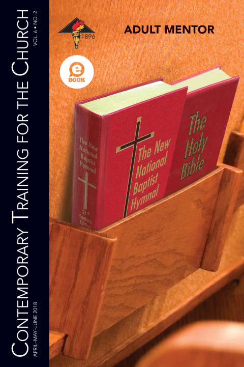 Cover image for book Adult Mentor
