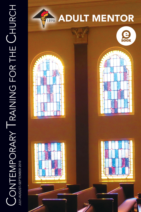 Cover image for book Adult Mentor
