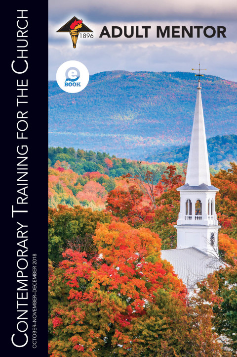 Cover image for book Adult Mentor
