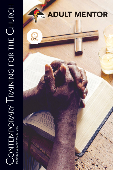 Cover image for book Adult Mentor