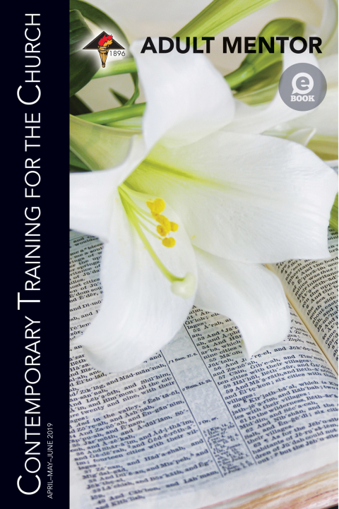 Cover image for book Adult Mentor