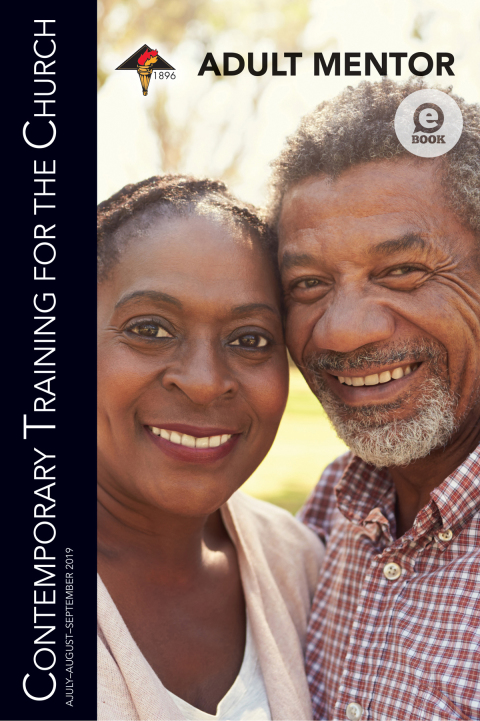 Cover image for book Adult Mentor