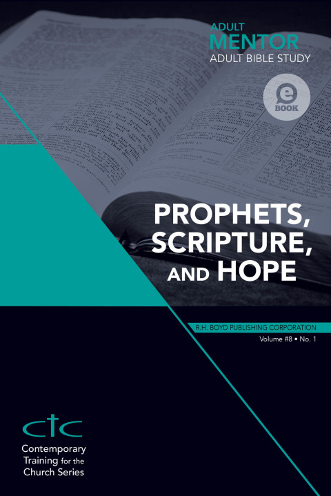 Cover image for book Adult Mentor Bible Study