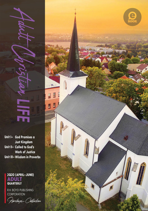 Cover image for book Adult Christian Life