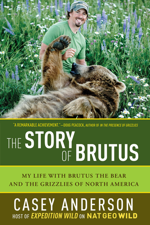 Cover image for book The Story of Brutus
