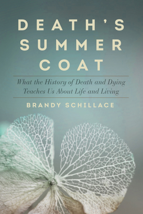 Cover image for book Death's Summer Coat