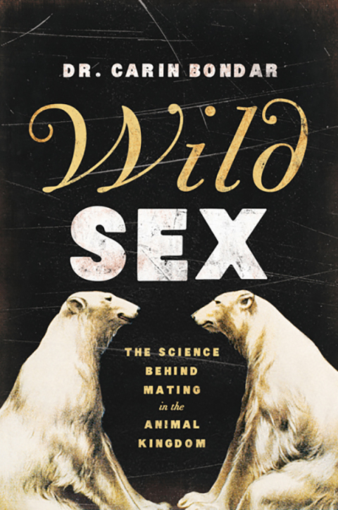 Cover image for book Wild Sex