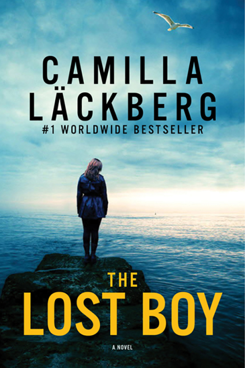 Cover image for book The Lost Boy