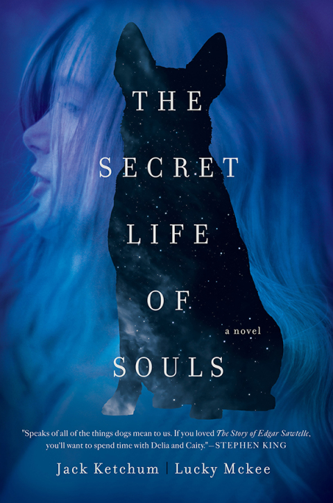 Cover image for book The Secret Life of Souls