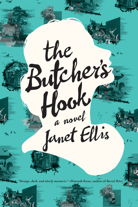 Cover image for book The Butcher's Hook