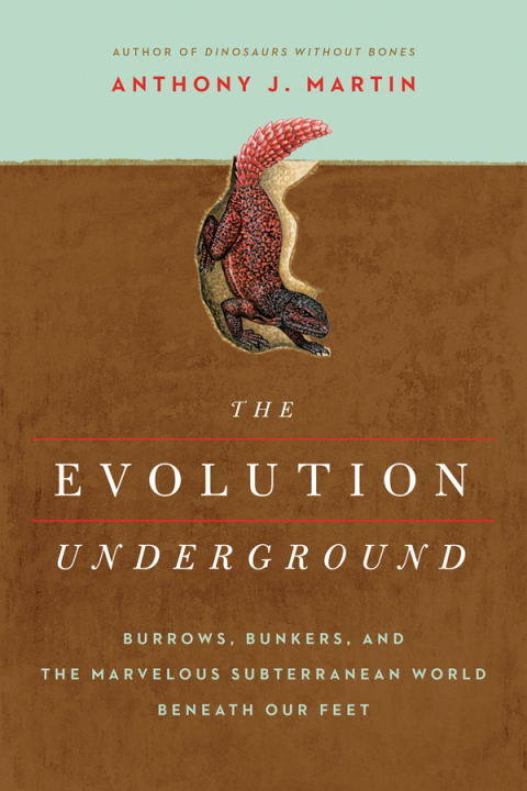 Cover image for book The Evolution Underground