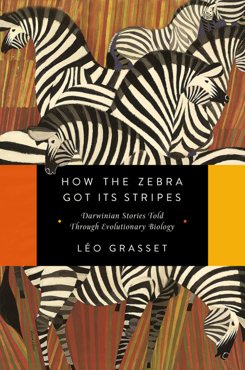 Cover image for book How the Zebra Got Its Stripes